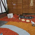 Le Mouton Gras Aumale